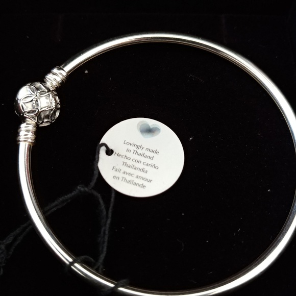 Valentine's Day  7.5" Pandora Bracelet Silver - Picture 7 of 7
